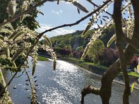 Der Fluß bei Durbuy: Ourthe