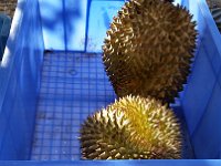 20180626 161005  Die stinkige Durian - in echt zu kaufen in Luxemburg Stadt